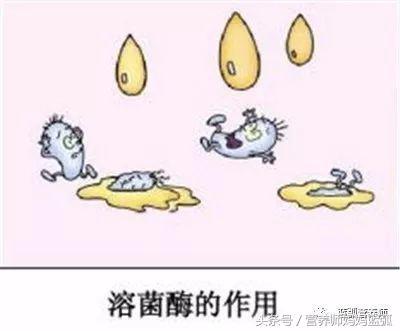反复咳嗽是呼吸道免疫差,日常应该这样吃,有食谱!