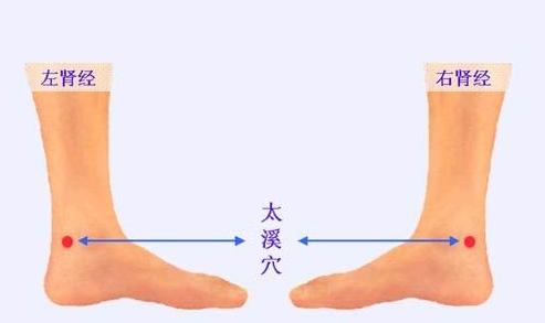 冬至过后,重养肾,多吃2白,减少4习,记住6个字,肾脏更健康