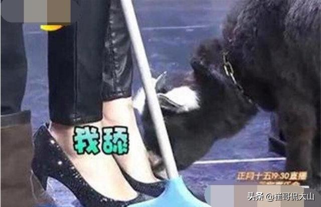 杨幂杨臭脚的绰号怎么来的,脚臭的女生多么?