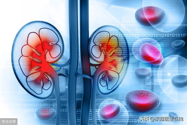 慢性肾炎患者,日常要注意什么?这4大注意事项应牢记