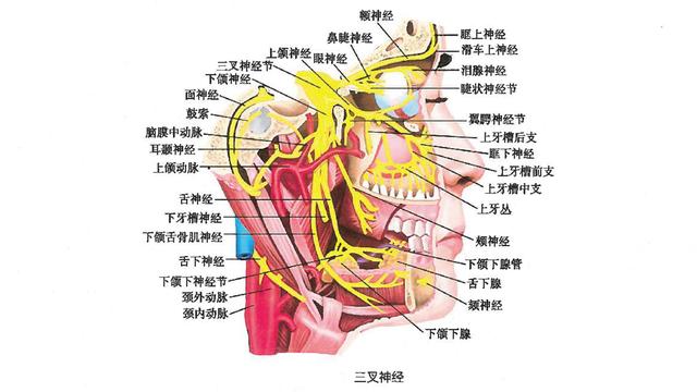 有一种独特的痛,叫神经痛
