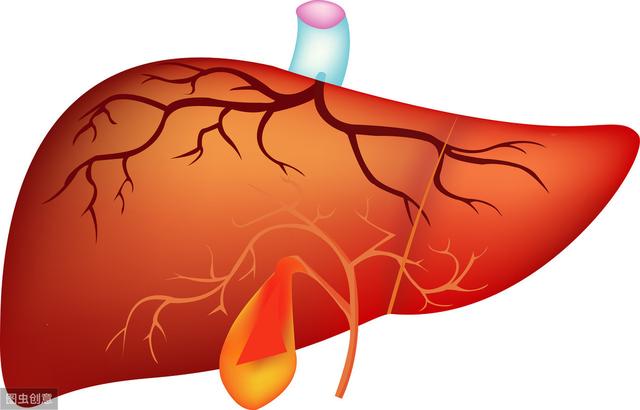 腰背疼痛、足膝酸软多是肝失调达,常食这4物,健脾护肝缓疼痛