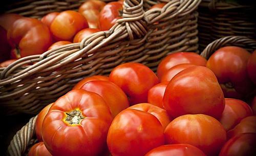 西红柿放冰箱会变成“毒水果”？哪些食物能放冰箱？都说清楚了