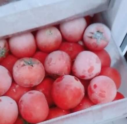 西红柿放冰箱会变成“毒水果”?哪些食物能放冰箱?都说清楚了