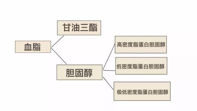 血脂越来越高,身体会有哪些症状?