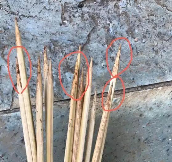 养花30年的老花匠,透漏5个“小秘方”,再也不怕养花出问题了