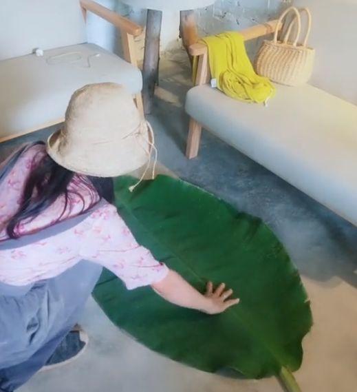 为了养花,她跑到海南,用10年把荒岛变花园