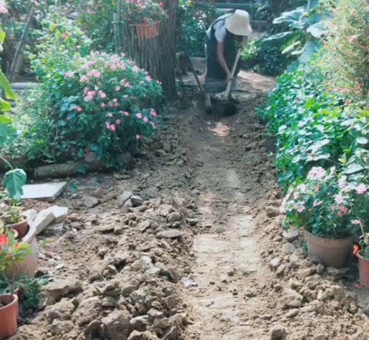 为了养花,她跑到海南,用10年把荒岛变花园