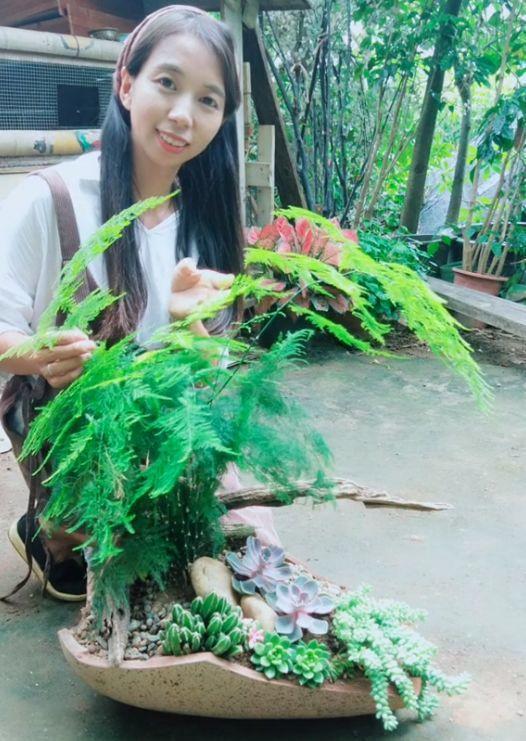 为了养花,她跑到海南,用10年把荒岛变花园