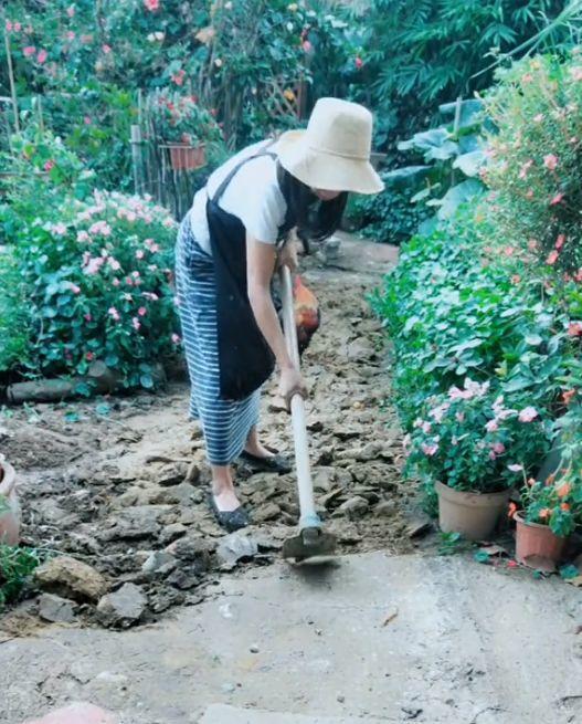 为了养花，她跑到海南，用10年把荒岛变花园