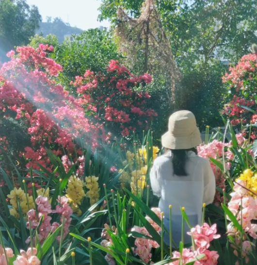 为了养花，她跑到海南，用10年把荒岛变花园