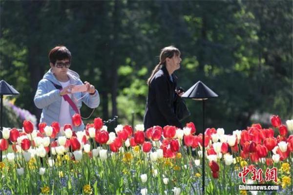 世界这么大,你想看看吗?2020,跟随体育去旅行