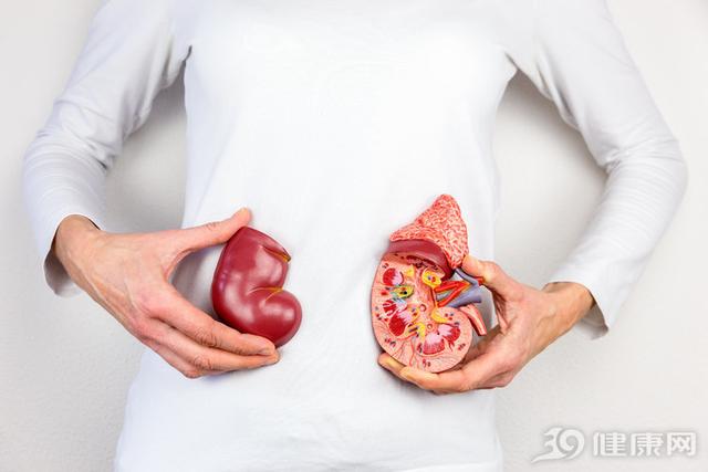 肾脏不好，得管住嘴：肾内科医生的5个饮食方法，你了解吗