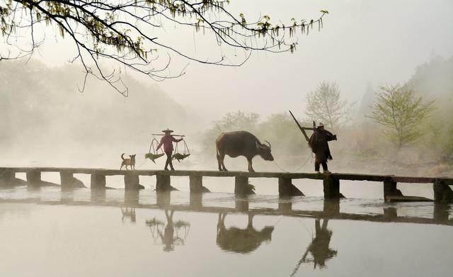 浙江各地最具代表性景点，哪个最美，你最想去哪里旅游？