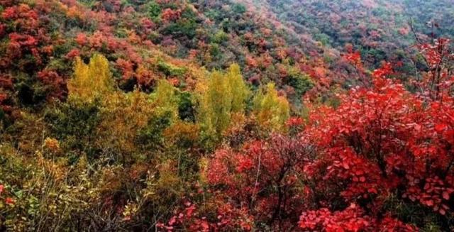 春节还在逛庙会?这家4A景区春节免门票,你确定不来?