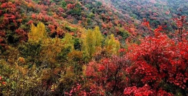 春节还在逛庙会？这家4A景区春节免门票，你确定不来？