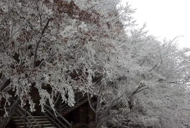 春节还在逛庙会?这家4A景区春节免门票,你确定不来?