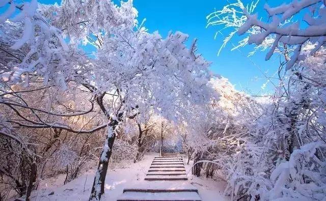 春节还在逛庙会?这家4A景区春节免门票,你确定不来?