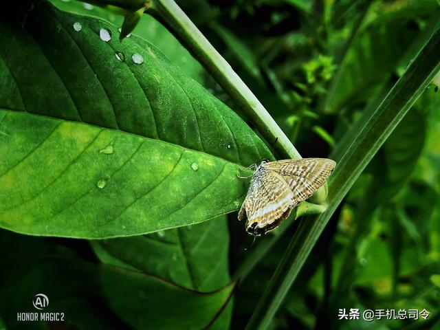 麒麟980+512G大存储+3D结构光,比苹果便宜8800元,华为真强