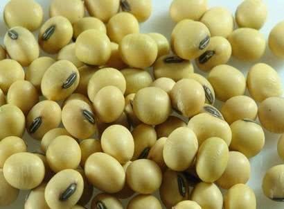 吃豆增强饱腹感稳定血脂还长寿,但营养师说:不建议吃2种豆制品