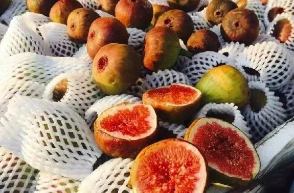 健康的食物,你常吃哪几种?