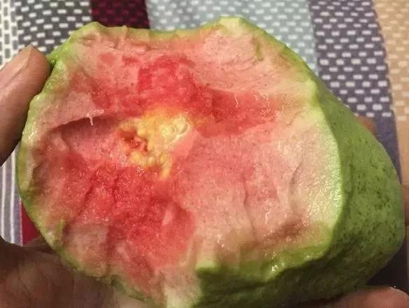 健康的食物,你常吃哪几种?