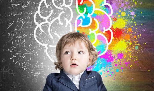 如何提高孩子记忆力？神经学专家：父母改变谈话风格是关键