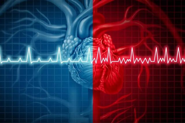 肠道菌群与心衰：你的心脏肠做主