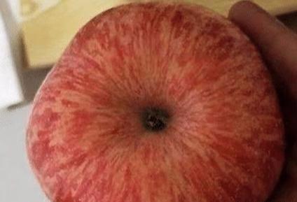 买苹果该挑红的还是有条纹的,果农教你一招,保证个个又甜又好吃