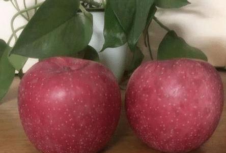 买苹果该挑红的还是有条纹的，果农教你一招，保证个个又甜又好吃