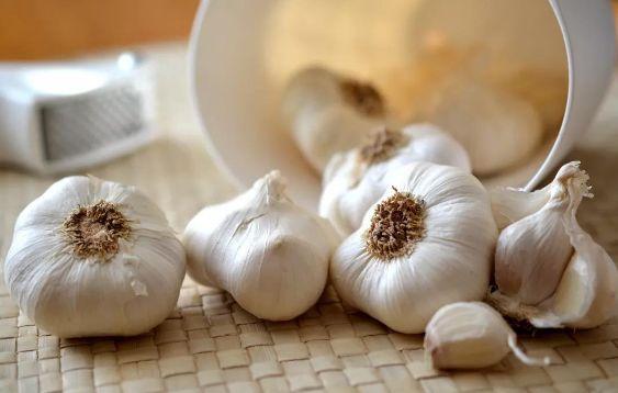 厨房里的“抗菌药”,餐桌上的调味料,北方人顿顿不离嘴