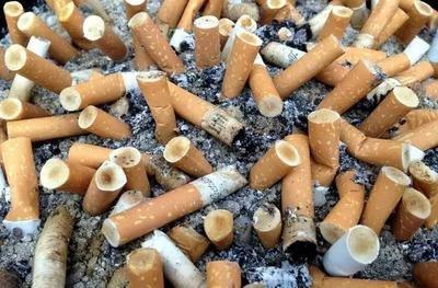 冬天淘米水黄豆水“谨慎”使用,2种“灰”撒盆里,花根又粗又壮