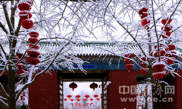 红墙白雪 2020年第一场雪后游地坛