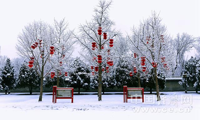 红墙白雪 2020年第一场雪后游地坛