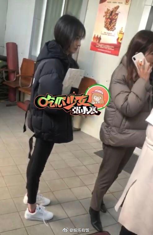 分析郑爽诉张恒借贷纠纷案全过程!看完你就明白了