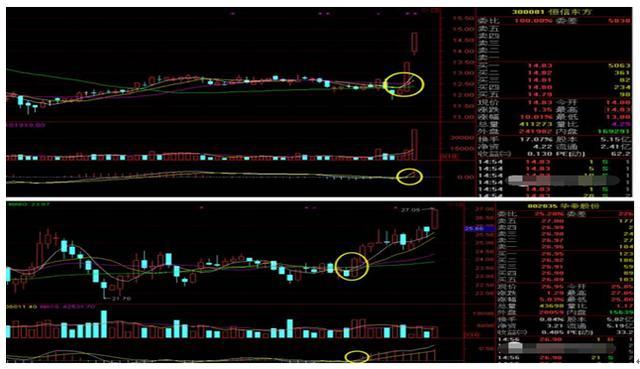 MACD的精华在于红绿柱，永远坚定MACD“三不碰”，反复阅读10遍