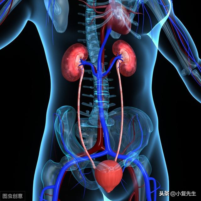腰痛就等于慢性肾病吗?这4种疾病也都会引起腰痛
