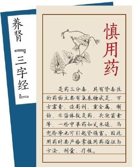 养肾三字经学会下面的养肾三字经，保你养肾又健康！​ ​​​​