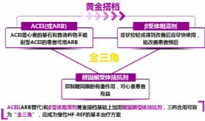 心率增快的高血压该如何选药?