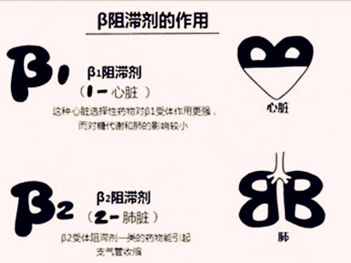心率增快的高血压该如何选药?