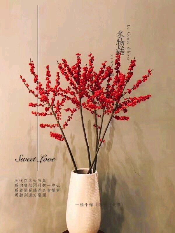 家养银柳、越来越有!2020年春节“很火”的3种花,你知道吗?