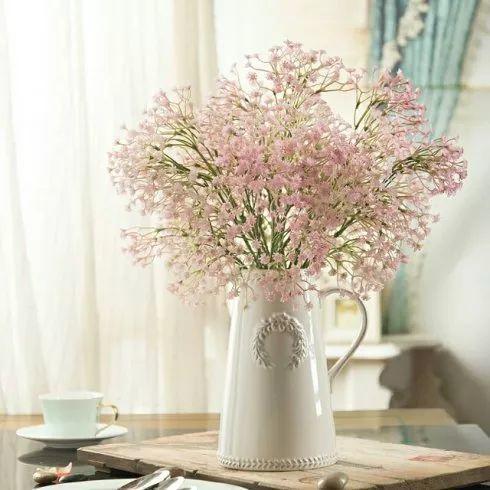 家养银柳、越来越有!2020年春节“很火”的3种花,你知道吗?
