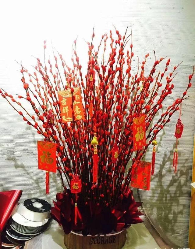 家养银柳、越来越有!2020年春节“很火”的3种花,你知道吗?