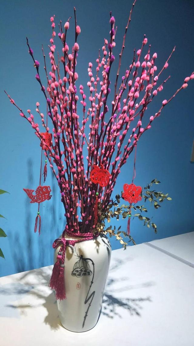 家养银柳、越来越有!2020年春节“很火”的3种花,你知道吗?