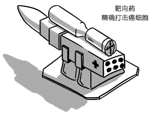 人只要一直活着，就一定会得癌