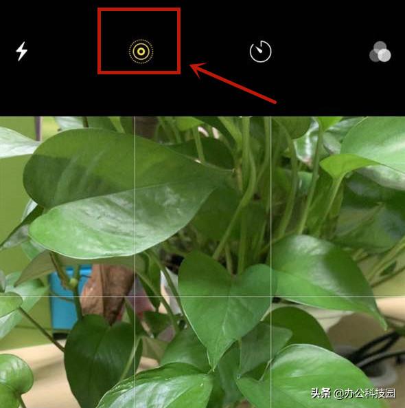 用苹果手机拍照之前,打开这个神奇功能,照片效果媲美单反