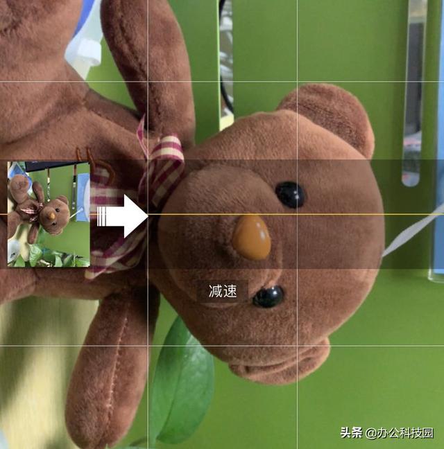 用苹果手机拍照之前,打开这个神奇功能,照片效果媲美单反