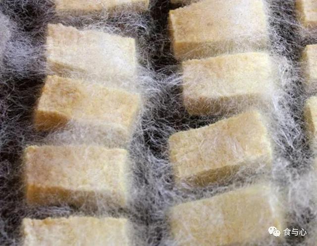 怎么吃饭最健康(二):蛋白质的选择