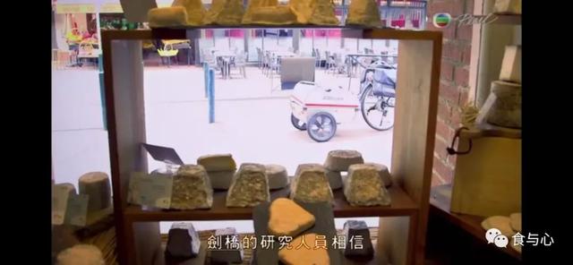 怎么吃饭最健康(二):蛋白质的选择