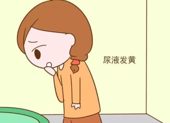 「护肾」保护肾脏,预防肾衰,坚持做好这4件事,转给爱的人
